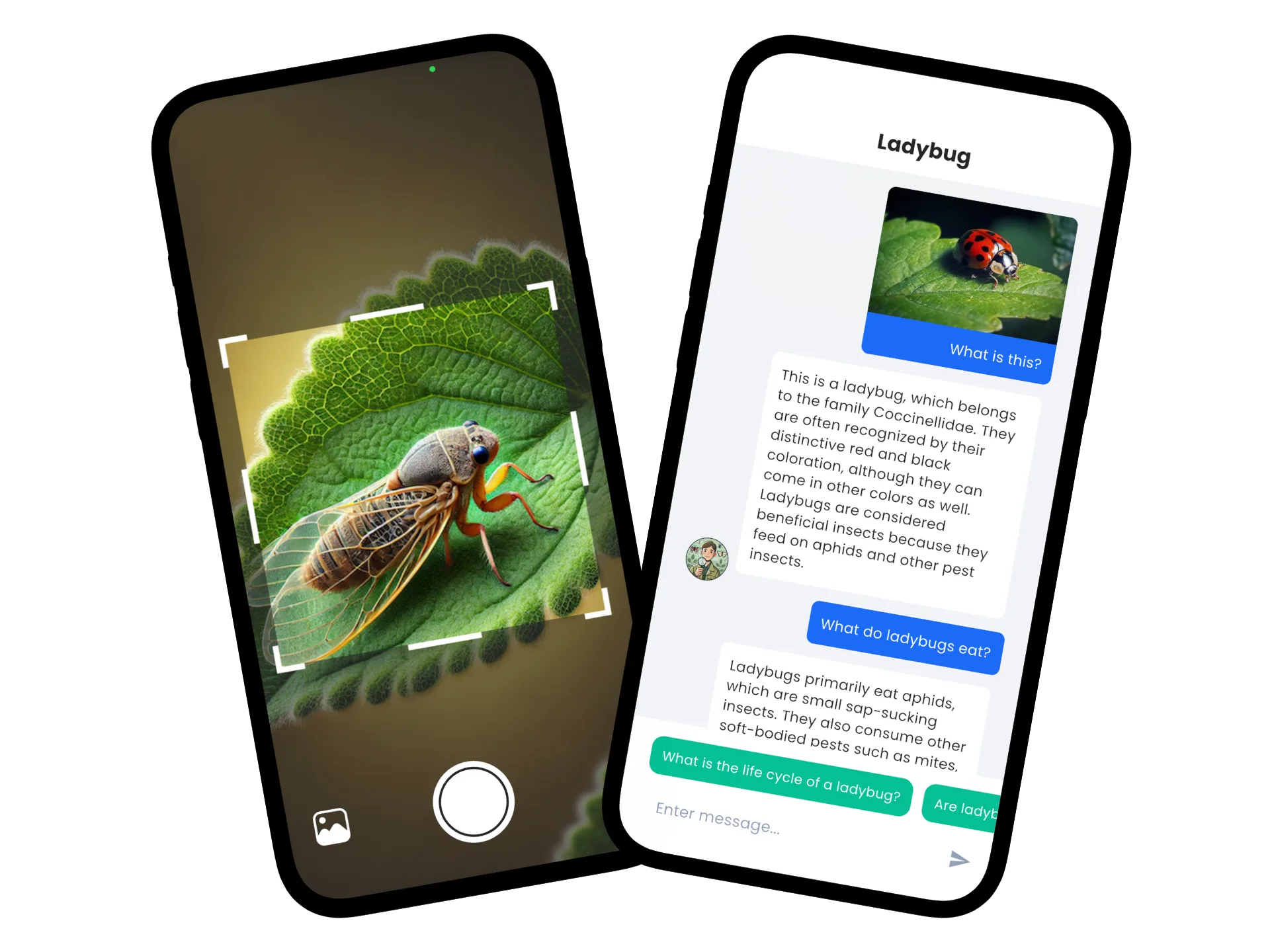 Insect identification interface showing insect identification features