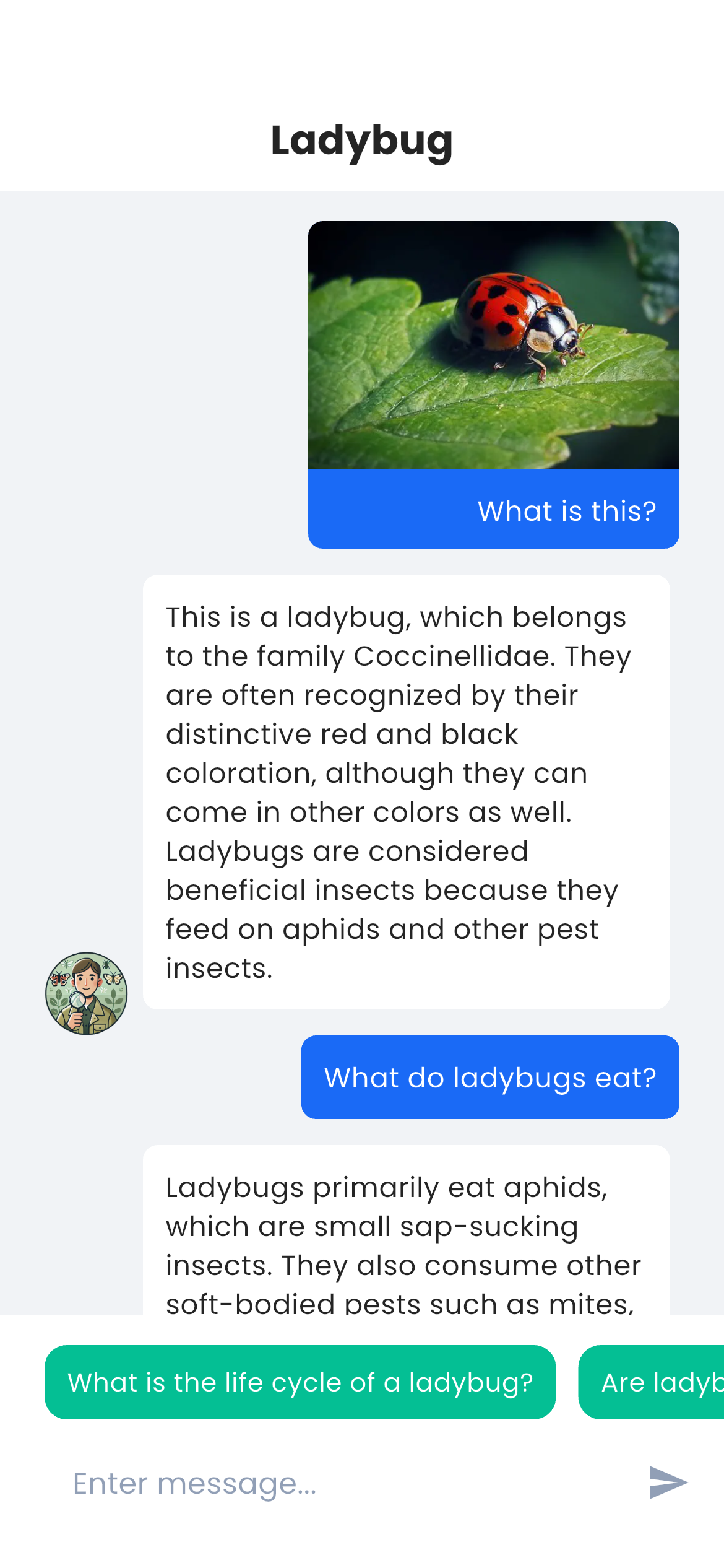 Chatting with AI assistant